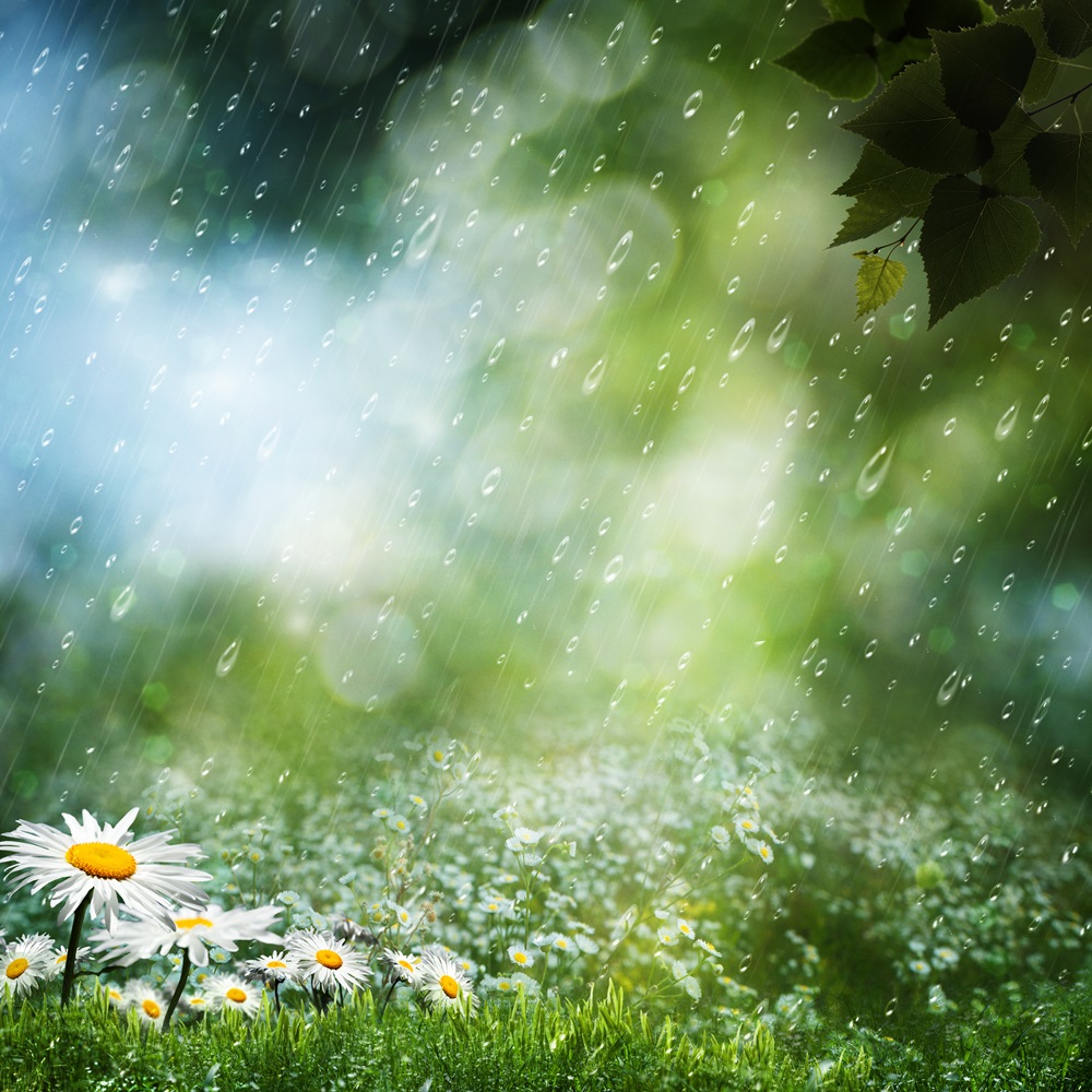 https://www.marketingmessages.com/wp-content/uploads/2019/12/spring_rain_1000x1000.jpg