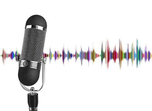 discuss the world of professional voiceover